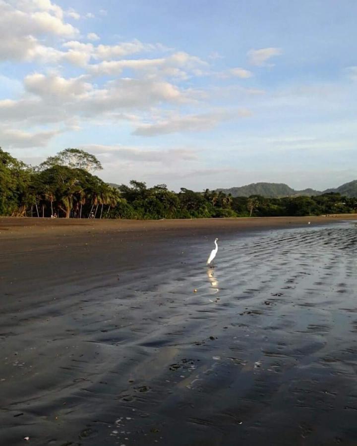 Villas Guanacaste Potrero  Exteriör bild